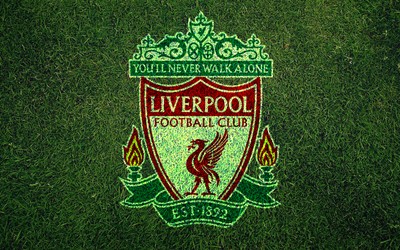 诺亚体育独家-加纳队更衣室赛后狂欢视频流出