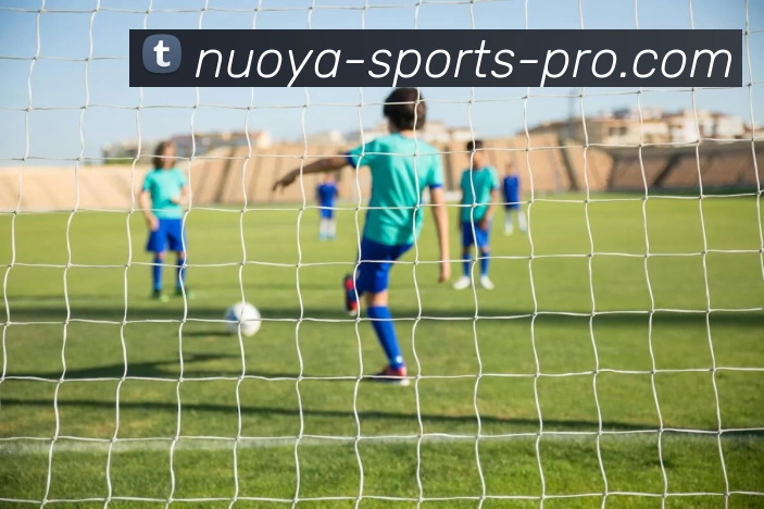 诺亚体育PRO平台生态图