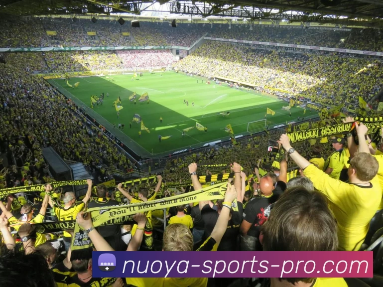 诺亚体育PROAPP 封面图